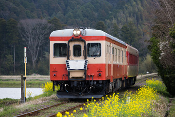 Journey of local line

