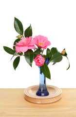 Camellia arrangement