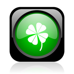 four-leaf clover black and green square web glossy icon