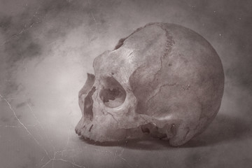 Side view of human skull old photo