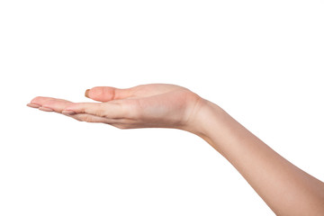 Open palm hand gesture of Female hand