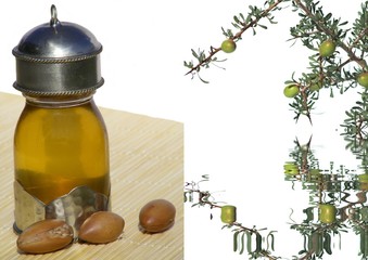 Un flacon d'huile d'argan et une branche d'arganier