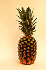 Tropical fruit-pineapple