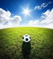 football field soccer stadium on the green grass blue sky sport