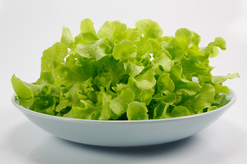 Salad on white background