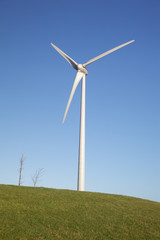 Windturbines in grass field with a clear blue sky