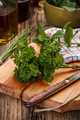 Curly parsley leaves