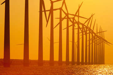 Silhouette of Windturbines with sunset