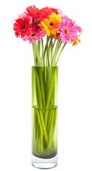 Bouquet of fresh colorful gerbera daisies in a green vase isolat