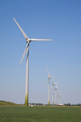 wind Trurbines in blue sky and green grass