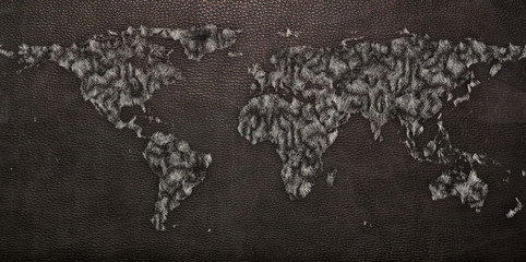 Leather Texture of World map