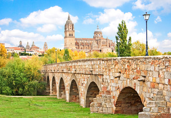 City of Salamanca, Castilla y Leon region, Spain - obrazy, fototapety, plakaty