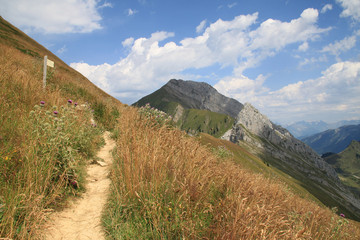 Naklejka premium montagne