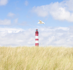 Leuchtturm auf Amrum