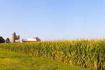 American Countryside © maksymowicz