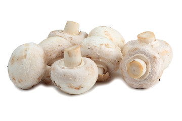 Champignons mushroom