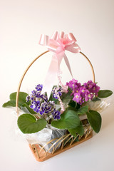 Basket of flowers - gift
