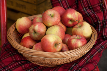 Frische Äpfel