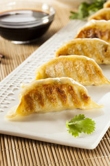 Homemade Asian Vegeterian Potstickers