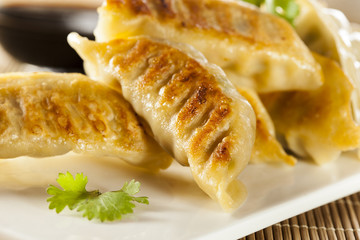 Homemade Asian Vegeterian Potstickers