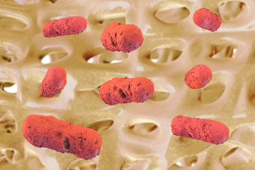 Salmonellae - 3D Rendering