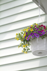 hanging flower basket against a vinyl siding