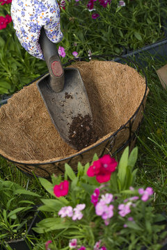 a gardener dumps some potting soil in a basket