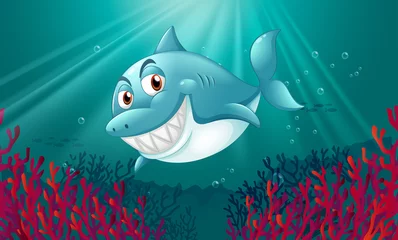 Poster Im Rahmen Ein Blauhai unter dem Meer © GraphicsRF