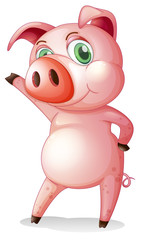 A pig dancing