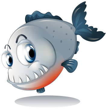 A big gray piranha