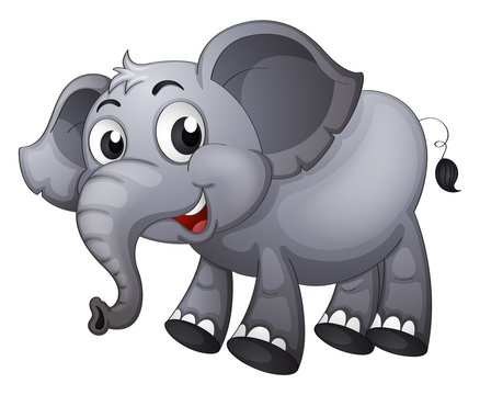 A gray elephant
