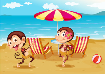 Obraz na płótnie Canvas Plaża z dwoma małp