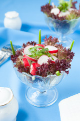 Fresh salad of radish and lettuce