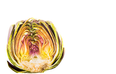 Fototapeta premium Artichoke cut in half with white background