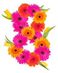 8, flower alphabet isolated on white 