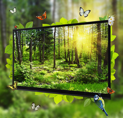 Fototapety na wymiar - Fototapeta24.pl