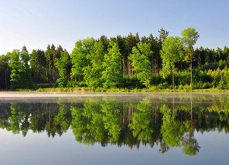 Fototapeta premium Spring landscape with pond in Czech Republic