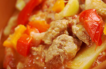 l Hungarian hot goulash soup