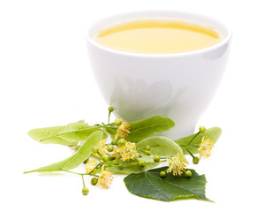 Lindenblütentee mit frischen blüten