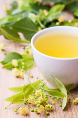 Lindenblütentee mit frischen Lindenblüten