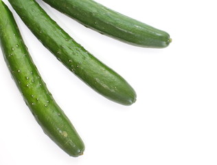 Cucumber isolated on white background