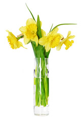 Beautiful spring flowers in vase: orange  narcissus (Daffodil).