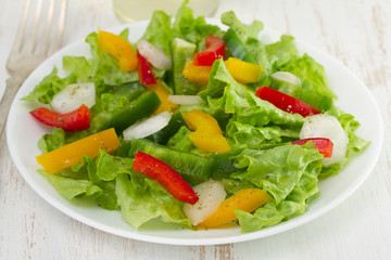 vegetable salad with radish
