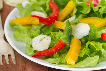 fresh salad with radish