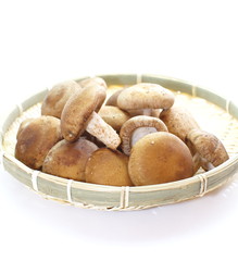 fresh mushroom champignon isolated on white background