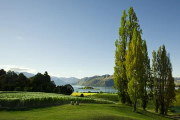 Keuken spatwand met foto Nieuw-Zeelandse wijngaard © jeremyreds