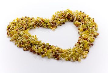 Fresh alfalfa sprouts.