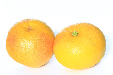 Grapefruit (Citrus x aurantium)