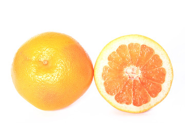 Grapefruit (Citrus x aurantium)