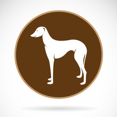 Vector image of an dog (azawakh) , illustration - vector